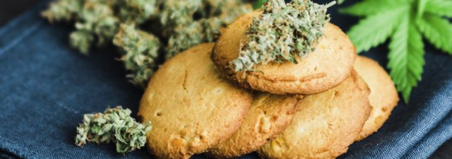 Cannabis Edibles 101 – A Historical Odyssey, Pros, Cons, and Health Insights