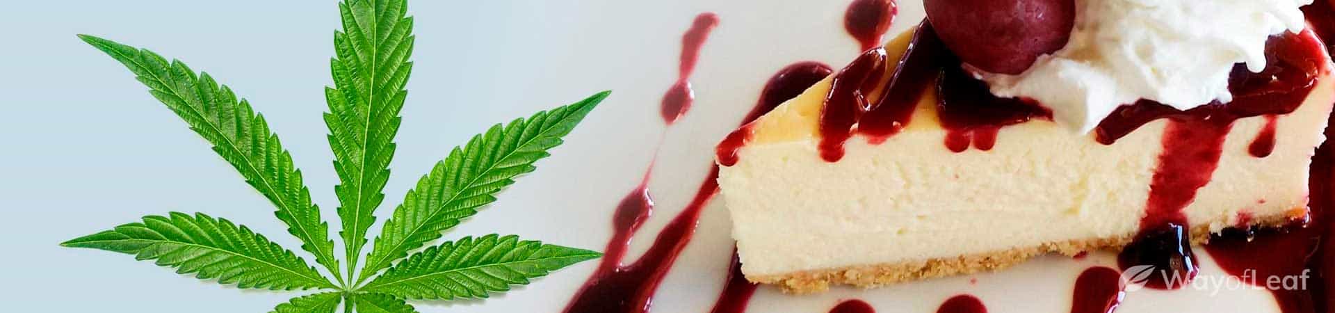 The 420 New York Cheesecake | Marijuana Recipe