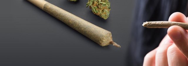 8 Steps to Rolling the Perfect Joint
