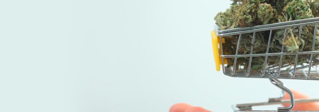 How to Buy High-Quality Weed at a Discount Price