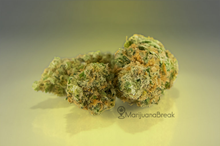 og kush marijuana strain