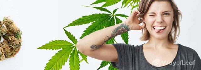 Should You Get Inked While High on Marijuana?