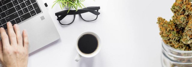 5 Best Cannabis Strains for Staying Super Productive