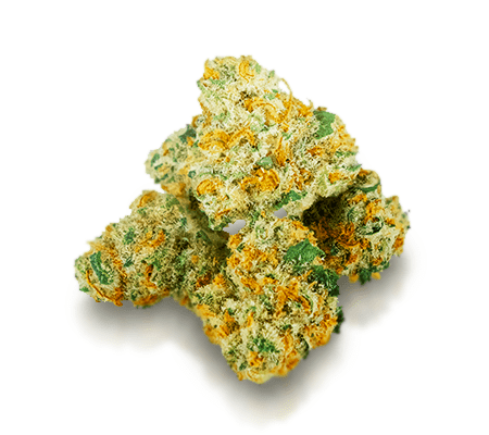 Cannatonic Strain Review – The Expert’s Guide