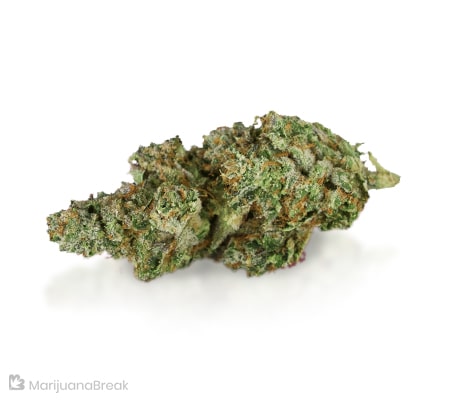 Permafrost | Cannabis Strain Review Permafrost | Cannabis Strain Review