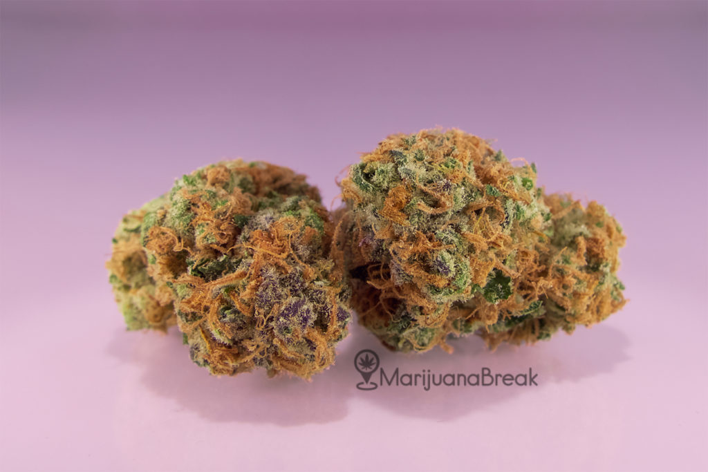 strawberry cough strain