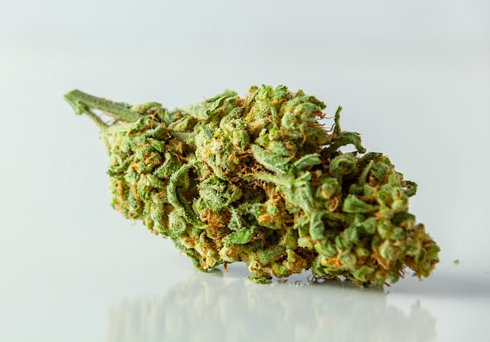 cbd marijuana strains