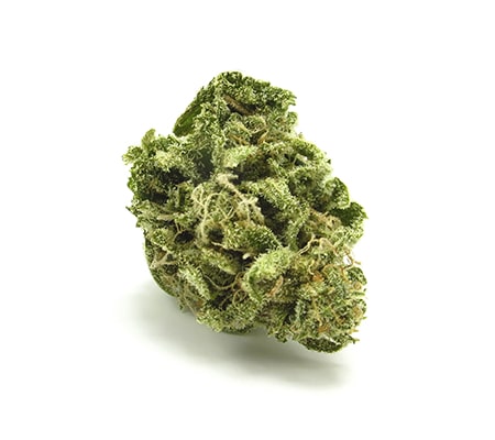 Alien Abduction Cannabis Strain