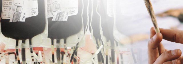Is It Possible for Cannabis Smokers to Donate Blood?