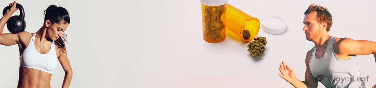 Marijuana for Athletes [How It Does the Body Good]