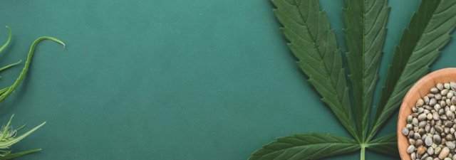 Hemp, and 20 Things You Can Do With It
