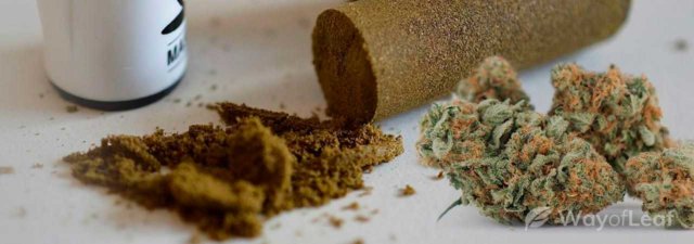 Are Hash and Marijuana the Same Thing?