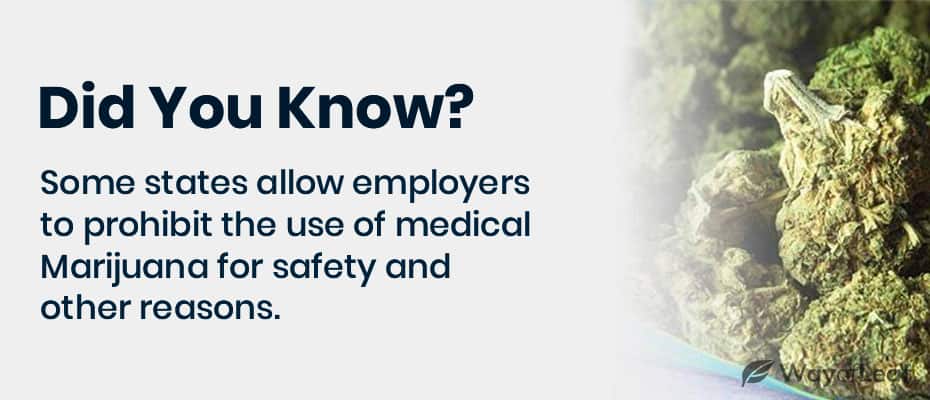 quotes-what-are-the-laws-around-drug-testing-in-the-workplace