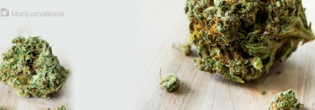 Five of the Best Weed Products without THC