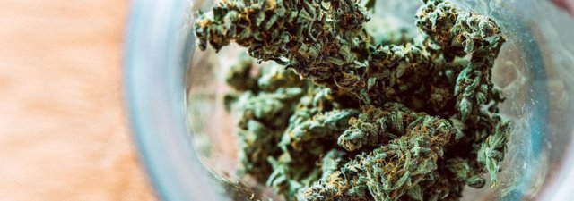 5 Signs That Your Weed is Potentially Contaminated