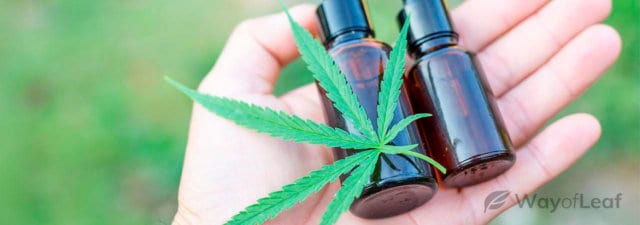 10 Biggest Myths and the Truth About CBD Oil