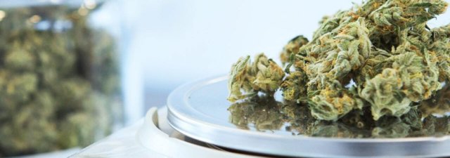5 Best Killer Cannabis Strains for Pro Smokers