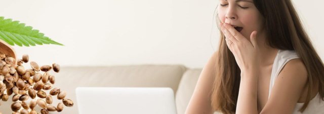Do Hemp Seeds Make You Tired and Sleepy?