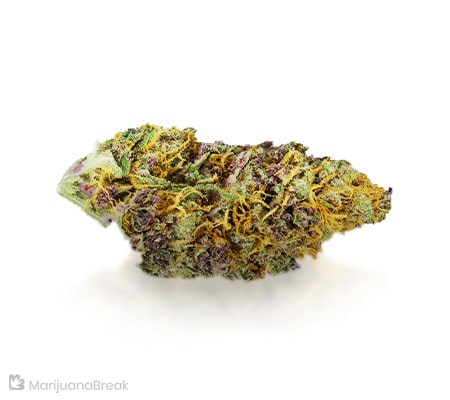 Rainbow Kush Marijuana Strain [Complete Review]