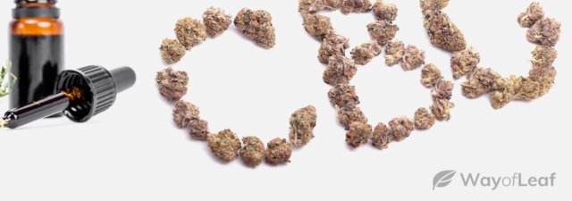CBC: All You Need to Know about Cannabichromene