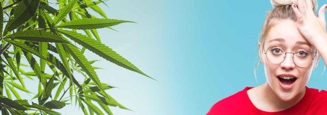 Here Are 5 of the Stupidest Things Ever Said About Marijuana