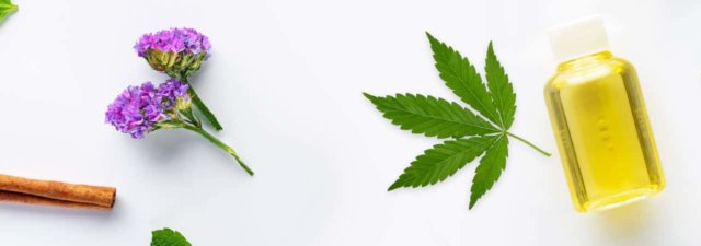 Terpenes and Marijuana Aromatherapy: The Definitive Guide