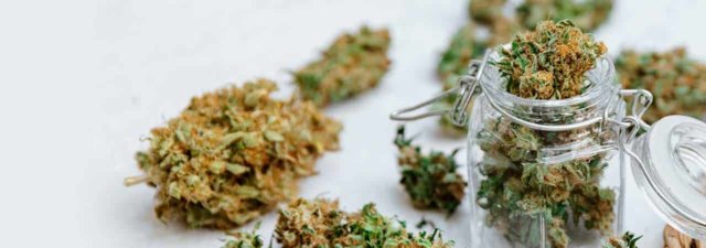 The Best 5 Weed Strains RIGHT NOW!