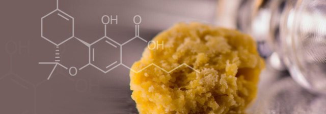 What Is THCA? [Exploring the “Other” THC…]