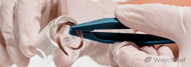 Hair Follicle Drug Test: How to Pass
