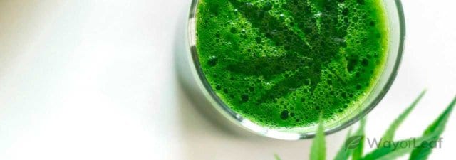 How to Make a Raw Cannabis Smoothie