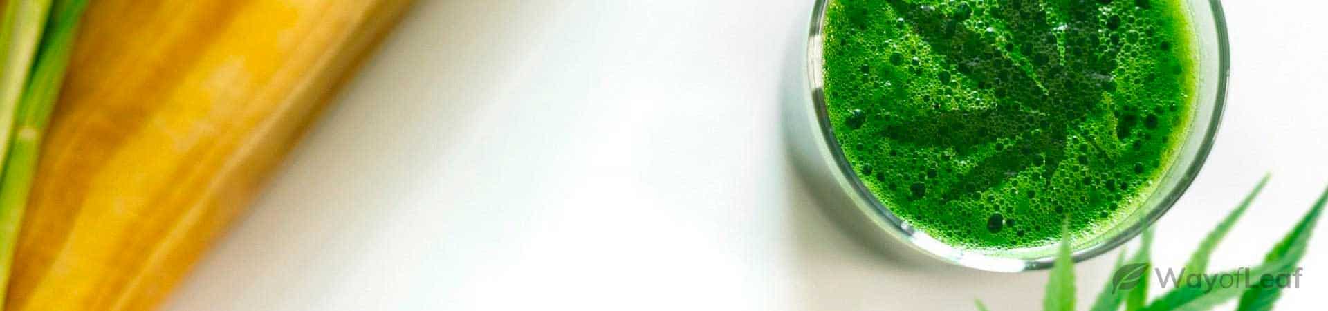 How to Make a Raw Cannabis Smoothie [Step by Step]