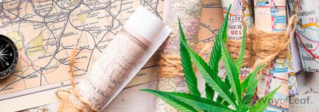 Where Does Cannabis Originate From? [Facts and Myths]