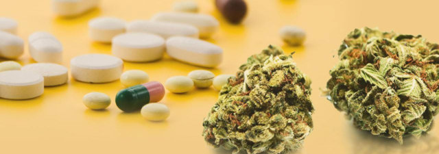 Does CBD Interact with Other Medications? [Answered]