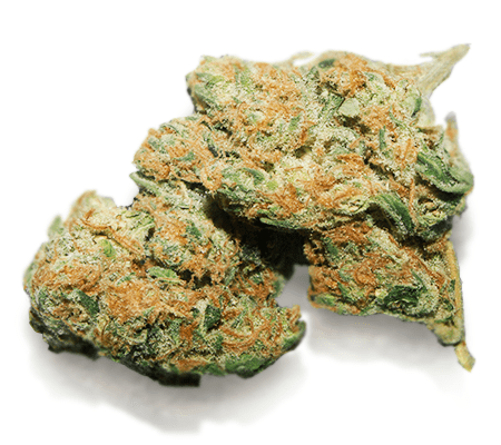 Jack Frost Cannabis Strain [Complete Review]