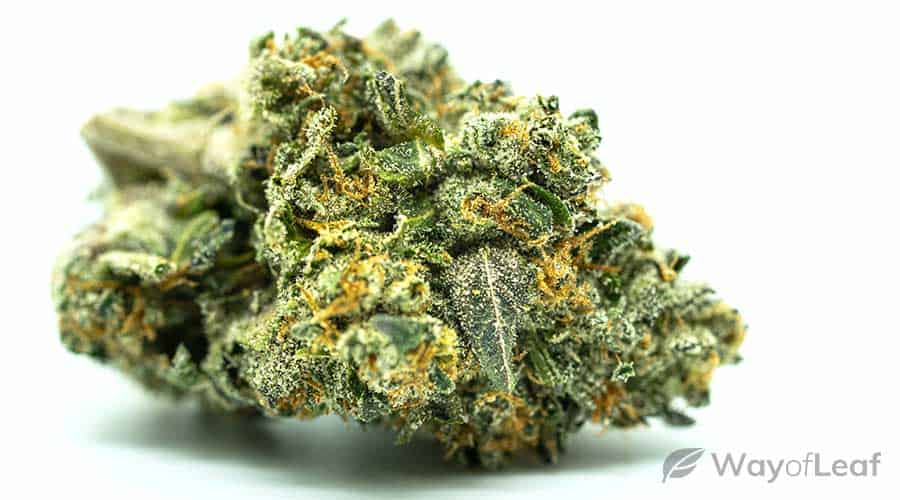 best-strains-for-energy