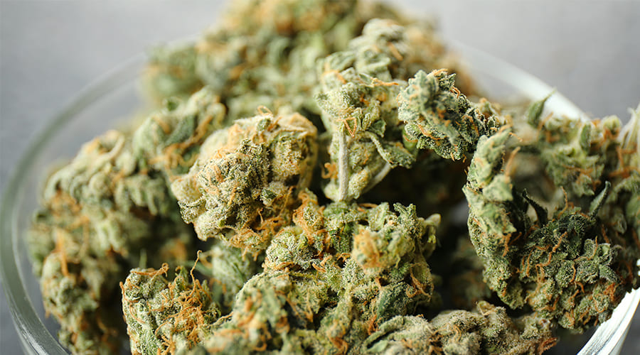 drying-and-curing-cannabis-buds