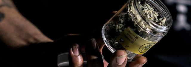 Budtender: The Best Marijuana Job Ever?