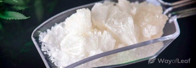 How to Use CBD Crystals: Fully Explained