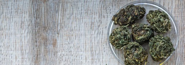Can You Plant the Seeds from Your Cannabis Buds?
