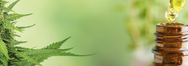 The Shelf Life of CBD Oil: How Long Does it Last?