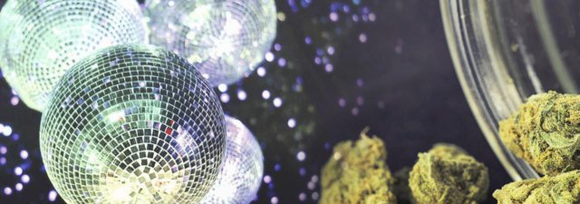 5 Cool Cannabis Strains for a Hell of a Party [TESTED]