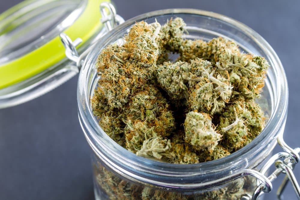 best marijuana strains for meditation