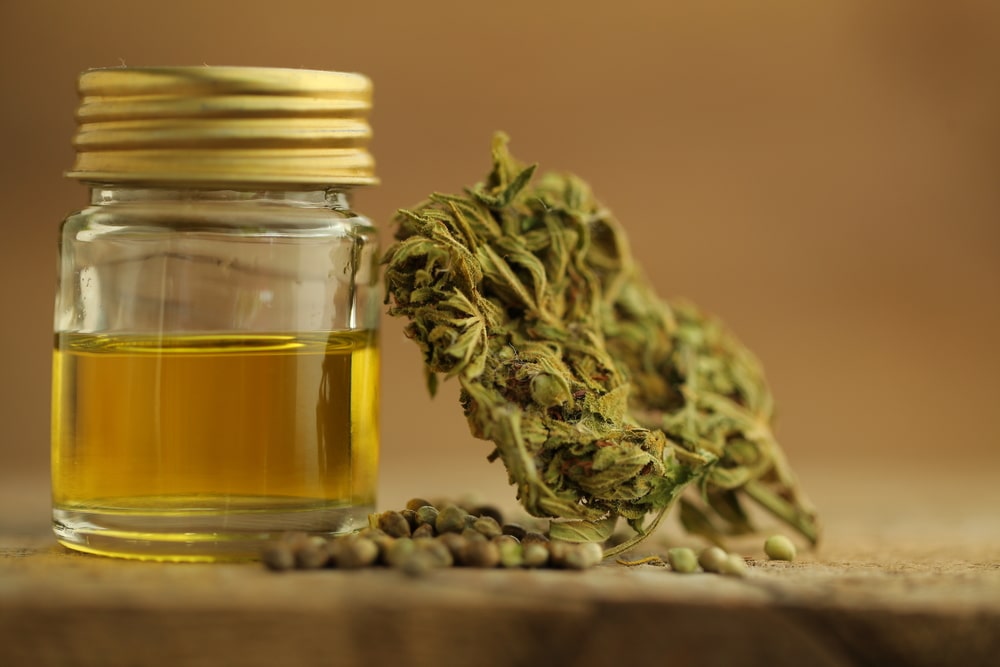 cbd extraction yield