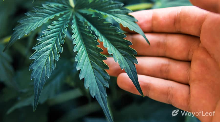 adding-the-correct-lighting-900x500-1