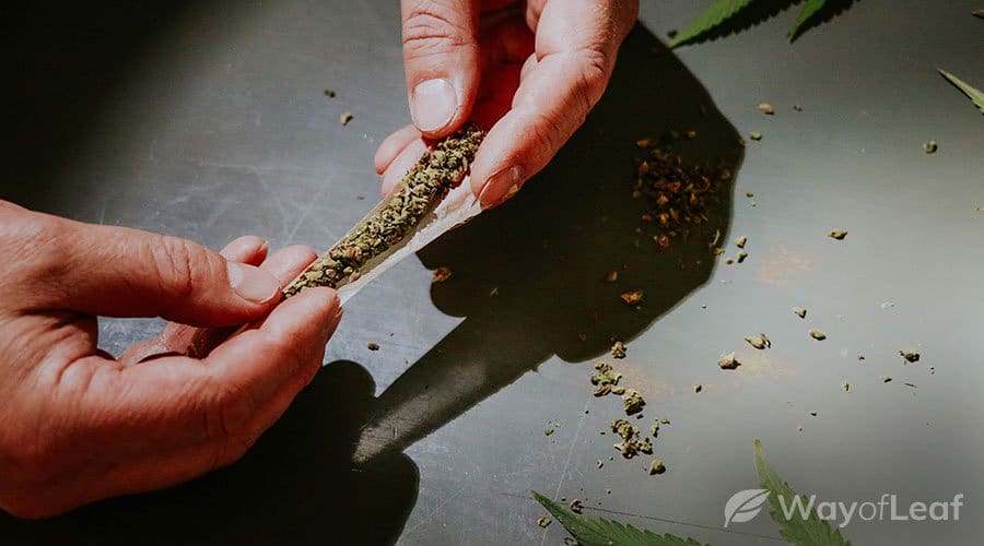 the-scientific-reason-why-thc-stays-in-your-system