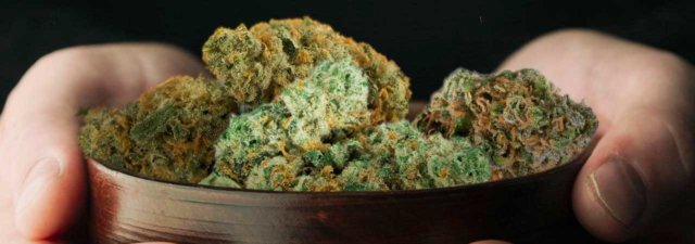 5 of the Top-Rated Cannabis Strains of All Time [TESTED]