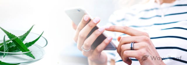 Your Essential Guide to Using Our Online THC Calculator