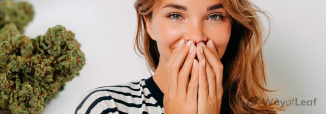 5 Weed Strains That Give You the Giggles