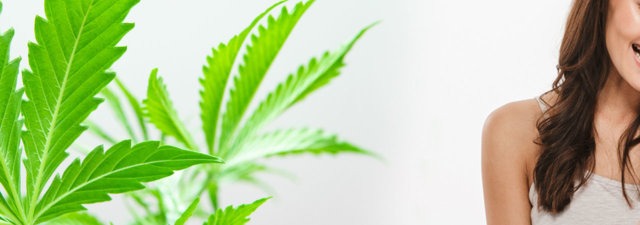 Cannabis Instagram Accounts: Here are the Top 10
