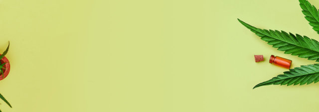 Top 10 Cannabinoids: What Are They and What Do They Do? [GUIDE]